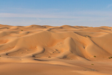 Fototapeta na wymiar United Arab Emirates - Rub Al Khali desert