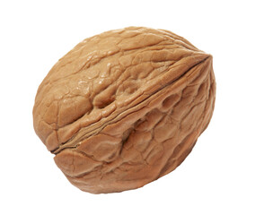 Walnut whole isolated on transparent layered background.