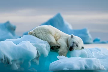 Tuinposter Slumbering Polar Bear on an Ice Floe © slonme