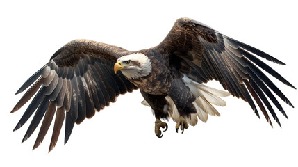 Majestic Eagle in Flight Captured in a Stunning Close-Up