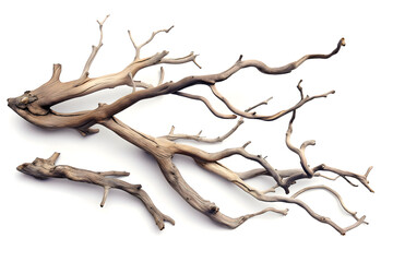 Fototapeta premium Intricately Twisted Driftwood Isolated on White Background