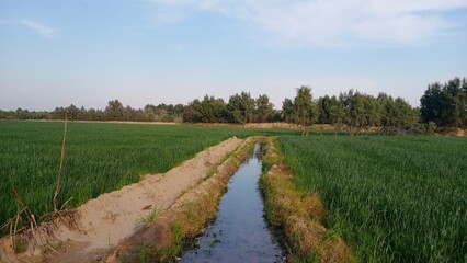 Countryside landscape 