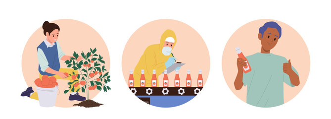 Tomato sauce and ketchup production, food industry and distribution isolated round composition set