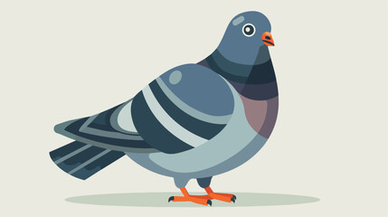Pigeon vector character color flat pigeon image Flat