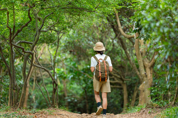 Naklejka na ściany i meble Hiking woman in the forest hiking trail