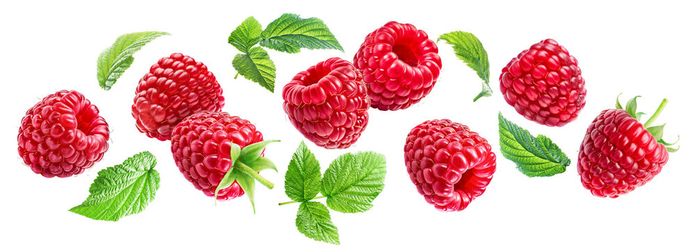 Flying ripe juicy raspberries with leaves isolated on a white background.