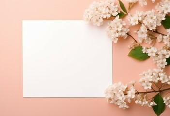White Flowers and Blank Paper on Pink Background