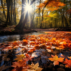 Vibrant autumn leaves covering a forest floor. 