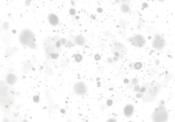Falling snow isolated on transparent background. Heavy light snowfall, snowflakes Snow flakes, snow background
