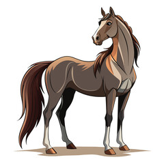 Horse vector illustration