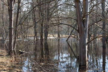 chunks of ice floating in the river on a sunny spring day