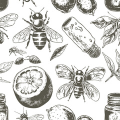 honey seamless pattern. Vintage hand drawn background illustration vector