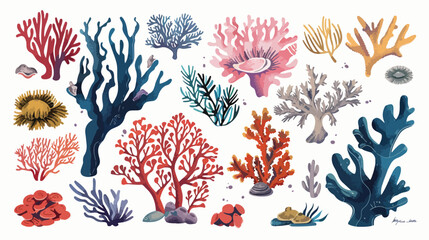 Tropical coral. Hand drawn vector for travel design.