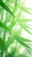 Abstract white green bamboo leaves on soft background