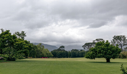 Obraz premium An ideal field, sown with trimmed lawn grass, surrounded by deciduous trees. Cloudy weather summer day, sky with gray clouds. Natural landscape, hotel golf club territory