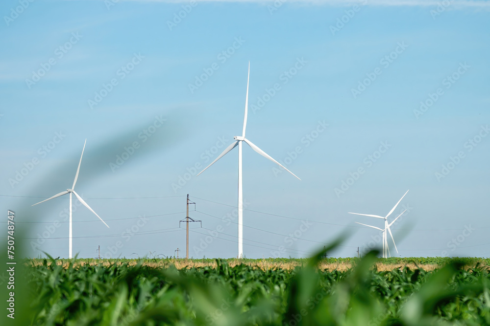 Wall mural array of turbines with rotor blades producing clean energy on wind farm. wind mills generating alter