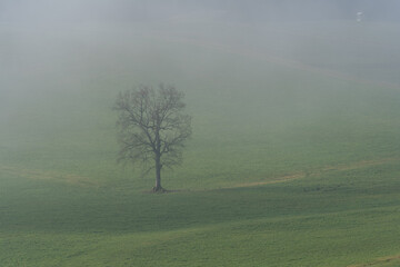Obraz na płótnie Canvas Schlossberg Tettelham im Nebel in Bayern bei Waging am See