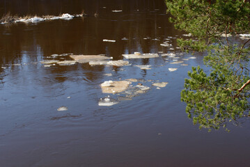 chunks of ice floating in the river on a sunny spring day