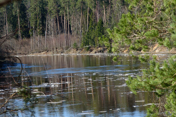 chunks of ice floating in the river on a sunny spring day