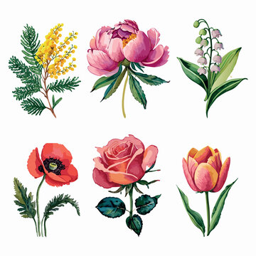 Set of flowers in watercolor style