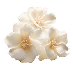 three white flowers stacked on a transparent background png isolated