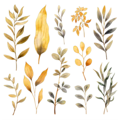 Fotobehang assorted watercolor leaves collection on a transparent background png isolated © Eduardo