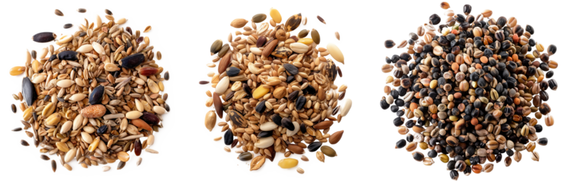 Variety of mixed bird seeds isolated on transparent background. mixed bird seeds against a transparent background