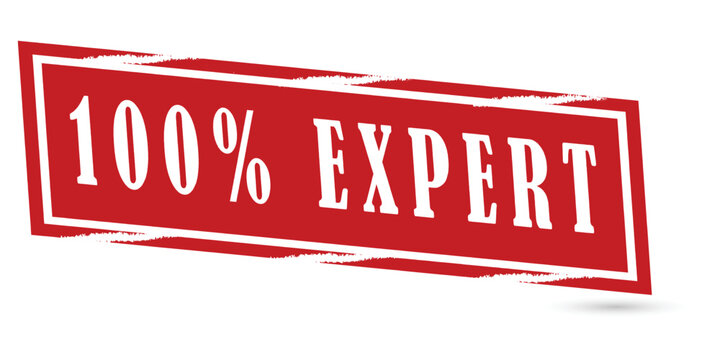 Rubber stamp with a vector picture and wording that reads "100% expert" inside