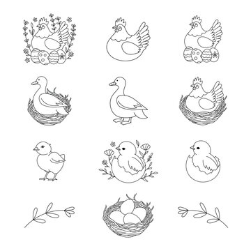 Easter illustration set, Easter eggs, Easter hen, hen, chick, duck, Easter chick, nest, chick in eggshell, flowers, floral, hand drawn, outline icons, line art, spring collection, isolated 