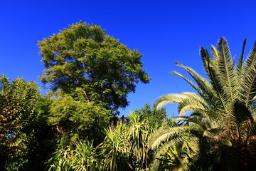 Anima Garden is a botanical garden located on the outskirts of the city of Marrakech, Morocco.