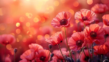 Fotobehang Poppy field at sunset in the spring. Red poppies in sunset light. Summer nature concept. Concept: nature, spring, biology, fauna, environment, ecosystem. Red beauty landscape © annebel146