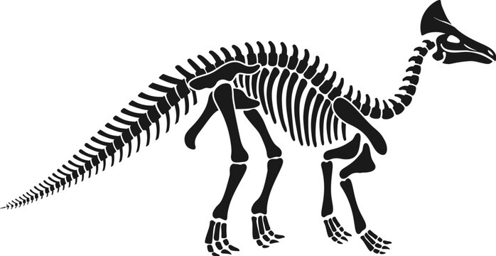Isolated olorotitan dinosaur skeleton fossil, dino bones black vector silhouette. Rare find, revealing the distinct features of this herbivorous hadrosaurid creature from the late cretaceous period