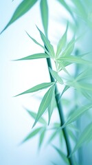 Abstract white green bamboo leaves on soft background