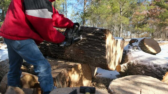 Man in red jacket in hood wearing jeans using gas powered chainsaw to cut oak tree logs into smaller pieces to be processed into firewood.