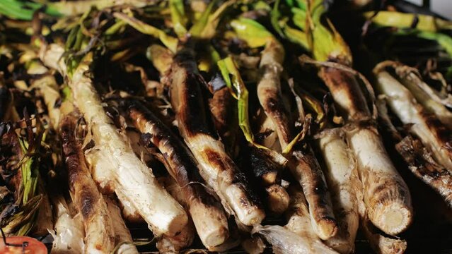 Traditional Spanish catalan green winter onion calcots, spring green season grill barbecue, vegan bbq with fire in Barcelona, Catalonia. Close up of grilling green onion.
