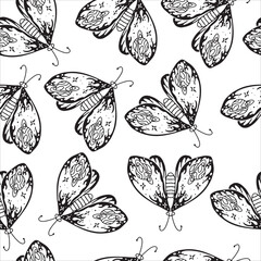 Butterfly moth pattern. Seamless vector. Heavenly magic abstract mystical design. Gothic drawing. black and white vector drawing, shit. Coloring book