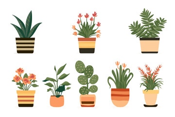 Collection of decorative houseplants and succulents isolated on white background. Trendy plants growing in pots or planters. Flat colorful vector illustration.