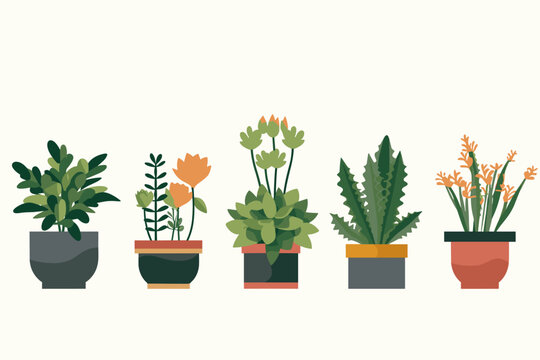 Collection of decorative houseplants and succulents isolated on white background. Trendy plants growing in pots or planters. Flat colorful vector illustration.