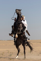 Saudi man in traditional clothing on a horse