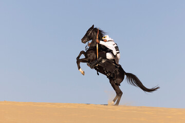 black stallion on hind legs on a desert with a man shooting an arrow at the horseback