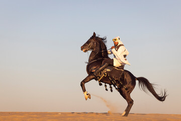 Saudi man riding his  black stallion - obrazy, fototapety, plakaty