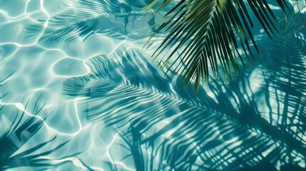 Fototapeta na wymiar Tropical leaf shadow on water surface, spa and wellness, copy space