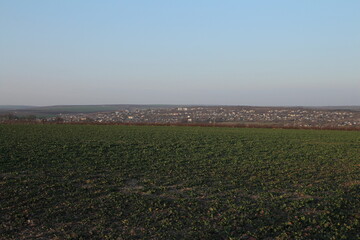Fototapeta na wymiar A field with a city in the background