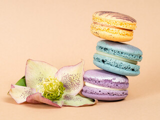 Sweet colorful macarons or macaroons with flowers.