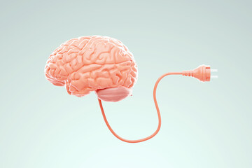 Human brain with socket plug on a light background. The concept is to charge the brain, support the mind, help memory, help for the mental well-being. 3D render, copy space.