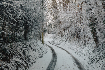 winter road in the snow through the forest