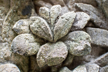 Pile of stones in the shape of a flower on dry land