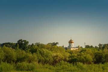 A white church with a golden dome behind a forest against a clear sky.