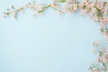 Blue Background With Pink and White Flowers