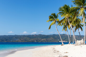 Turquoise water beach white sand and palm trees in cayo levantado dominican republic.